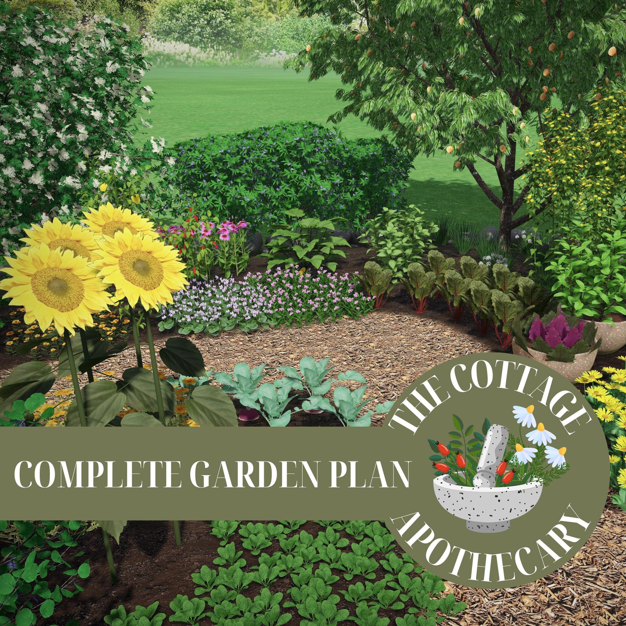 Cottage Apothecary Garden Plan: Edible Medicinal Herb Layout (Digital Download)