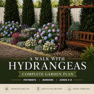 Hydrangea Garden Plan for Pathways, DIY Landscape Design Layout for Cottage Flower Beds, Digital PDF | Zones 5–9