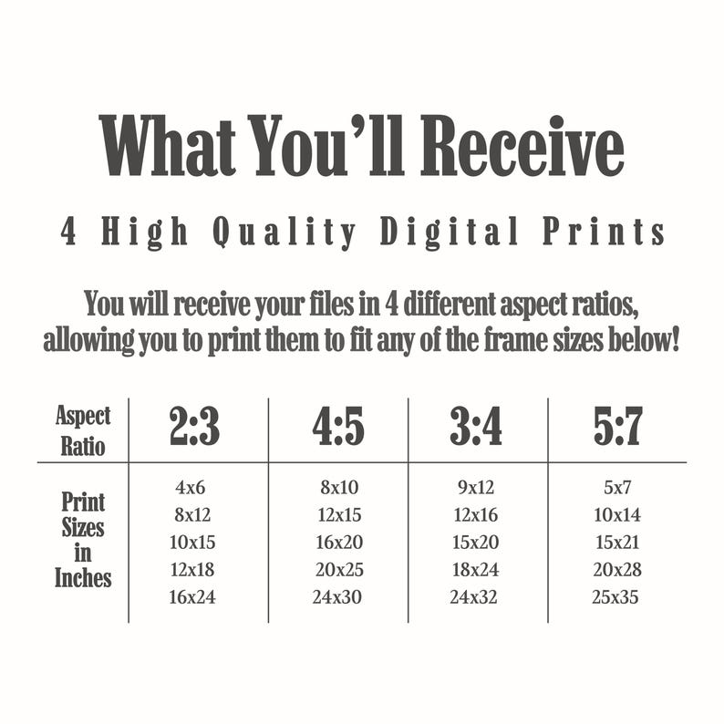May include: A chart showing four different aspect ratios for digital prints, with corresponding print sizes in inches. The aspect ratios are 2:3, 4:5, 3:4, and 5:7.