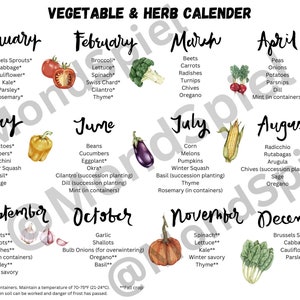 Vegetable and herb sowing calendar
