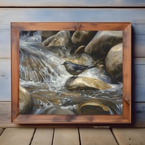May include: A painting of a small, dark gray bird perched on a rock in a rushing stream. The water is clear and the rocks are brown and gray. The bird is looking to the left.