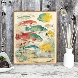 Colorful Vintage Reef Fish Art Print, Tropical Ocean Coral Illustration Poster, Retro Sea Life Wall Decor for Coastal Vibes