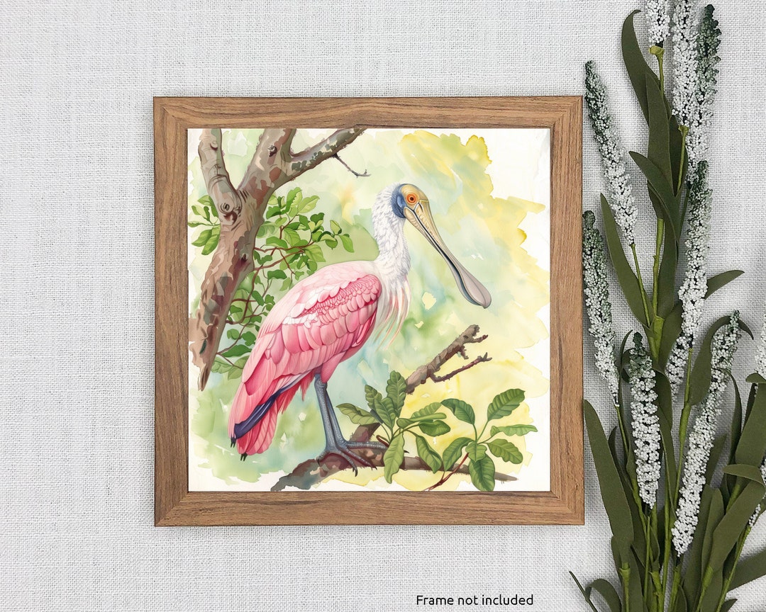 Vibrant Watercolor Print: Roseate Spoonbill on Branch, Elegant Coastal ...