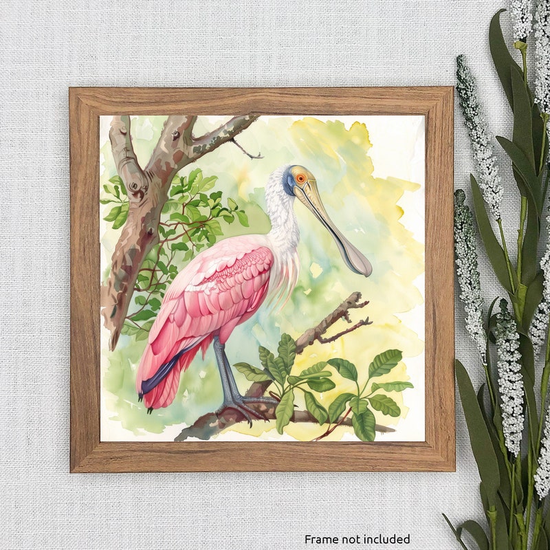 Roseate Spoonbill - Etsy