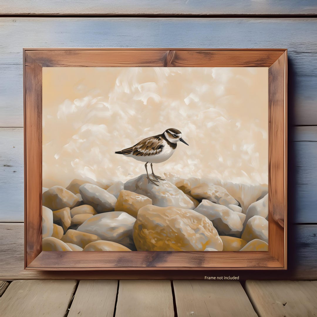 Ruddy Turnstone Art Print, Shorebird Wildlife Wall Art, Coastal Bird ...