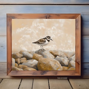 Ruddy Turnstone Art Print, Shorebird Wildlife Wall Art, Coastal Bird Illustration, Realistic Seabird Painting, Nature Decor for Bird Lovers