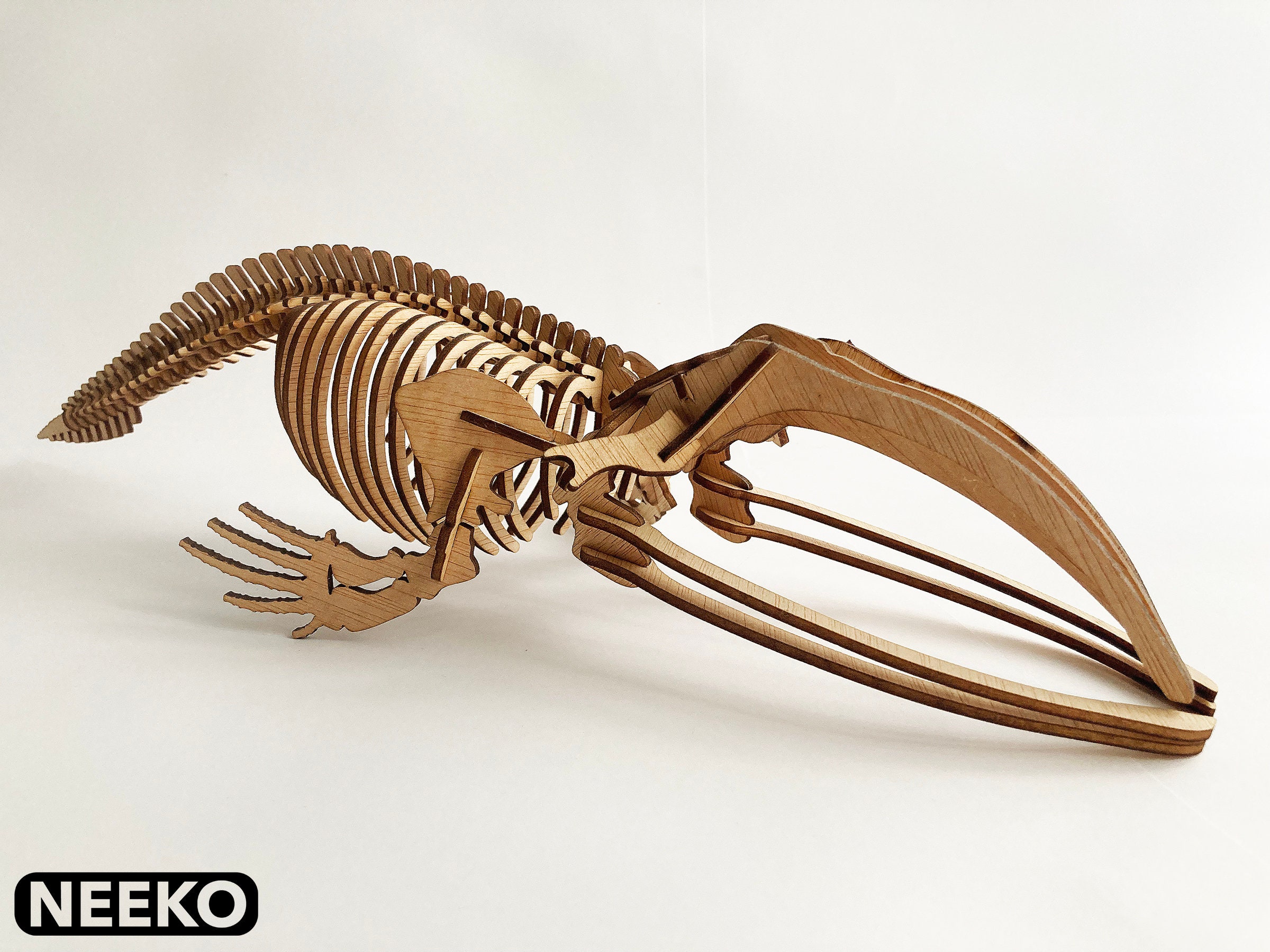 レーザーカット用のセミクジラの骨格 .dxf デジタル ファイル