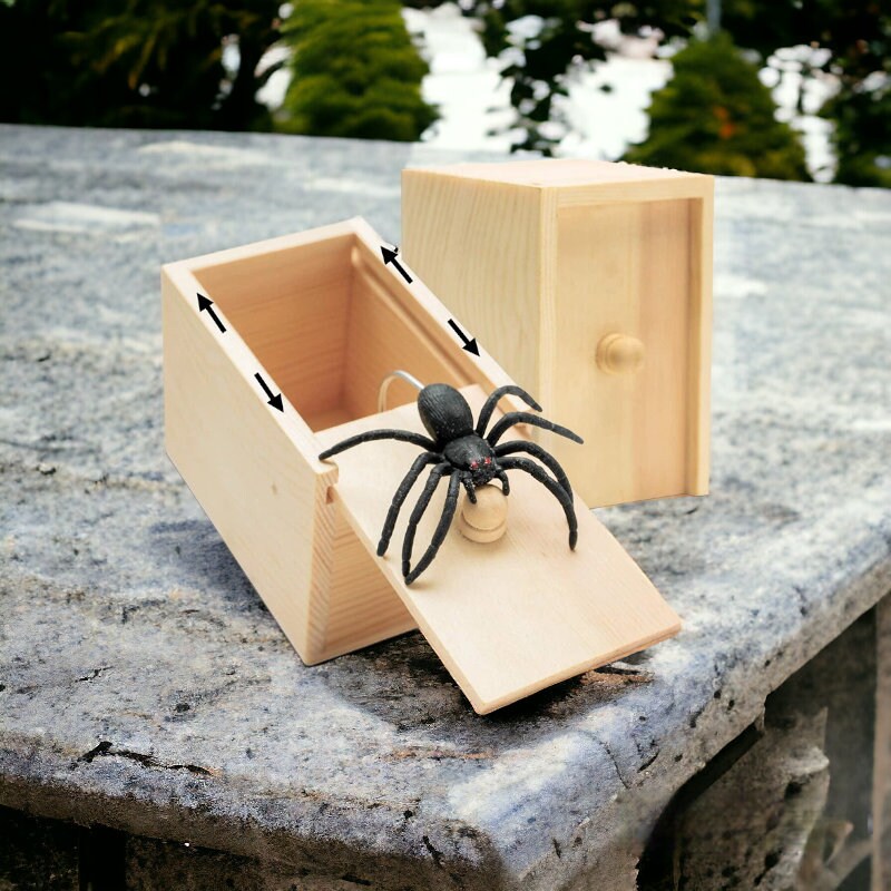 Spider clearance box prank