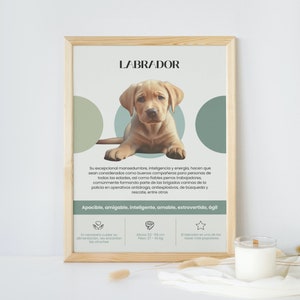 Lámina decorativa del perro Labrador Retriever, idea de regalo personalizable para los amantes de los perros, poster imprimible
