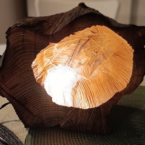Tree stump lamp, wooden lamp, bedside lamp, lantern, acacia wood