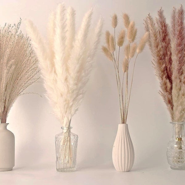 Bouquet d'herbe de pampa séchée - paquet de variété - pour la maison, les mariages, un vase, une entrée, une décoration bohème