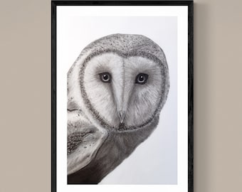 PRINT of Charcoal Drawing; owl,  painting, drawing, original art, black and white wall art