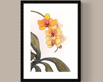 PRINT of Orchid Watercolor Painting, Flower,  Original Art, Yellow Flowers