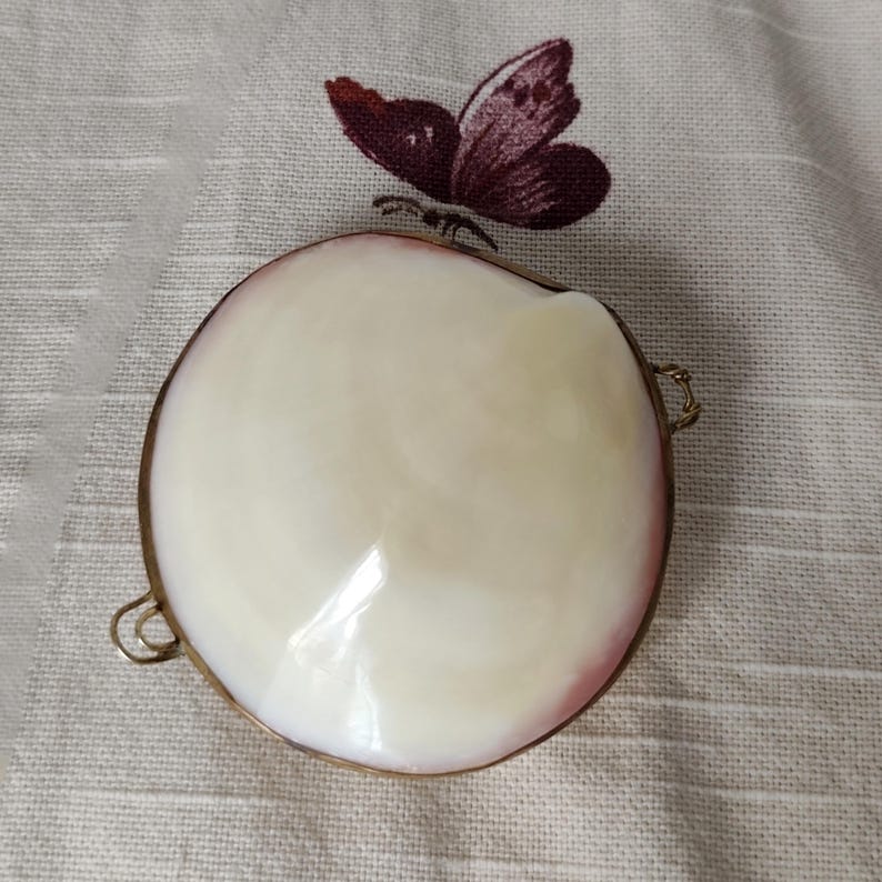 May include: A round, smooth, cream-colored shell box with a polished finish and a metallic gold-toned rim. The container features small metal loops on the sides and is positioned against a white fabric background with a dark purple butterfly embroidery.