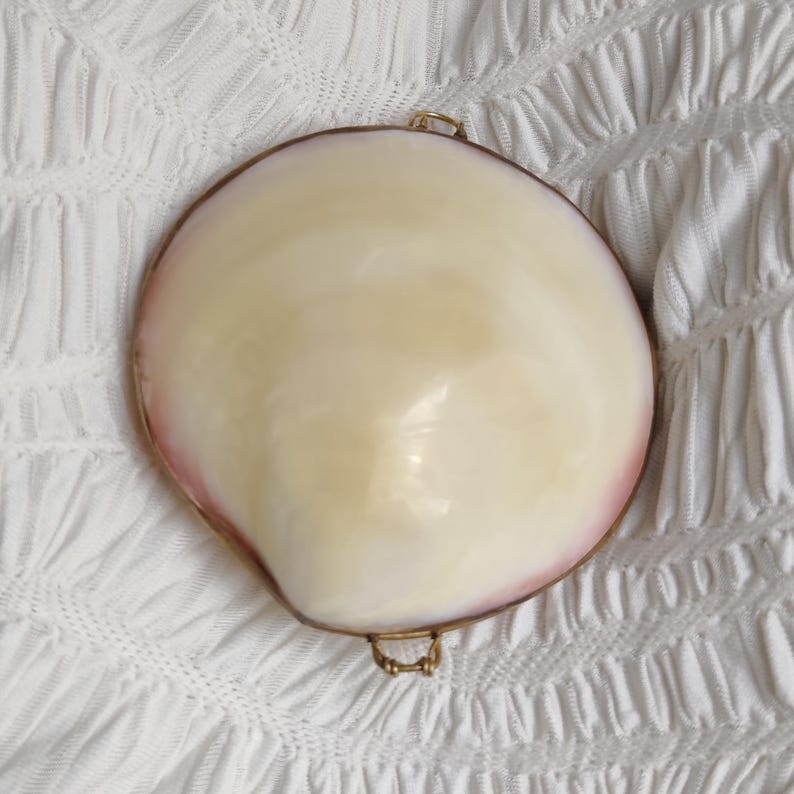 May include: A circular locket or compact case crafted from a polished, iridescent seashell with a smooth, cream-colored surface and soft pink edges. The shell is encased in a thin gold-toned metal frame featuring a small hinge and a clasp loop.