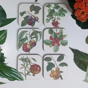 May include: Set of six square coasters featuring botanical illustrations of various fruits and berries. The coasters are white with a light wood grain texture and feature images of plums, red currants, pomegranates, peaches, and yellow berries.