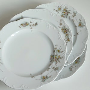 Puede incluir: Tres platos de cerámica blanca con un diseño floral. Los platos tienen un borde festoneado y están decorados con delicadas flores rosas y verdes.