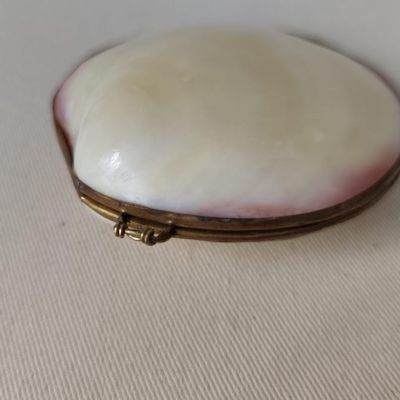 May include: A small, oval-shaped hinged box crafted from a natural seashell with a smooth, iridescent white surface and soft pink edges. The container is secured by a metallic brass-toned hinge and clasp mechanism along the side edge.