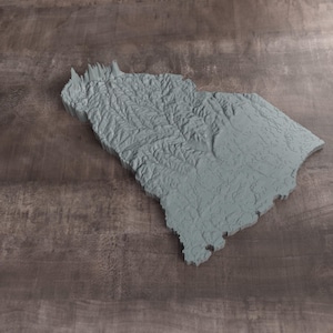 May include: A three-dimensional gray relief map of the state of South Carolina, featuring detailed topographical elevations and depressions that represent the physical landscape, including mountain ranges and river valleys across the region.