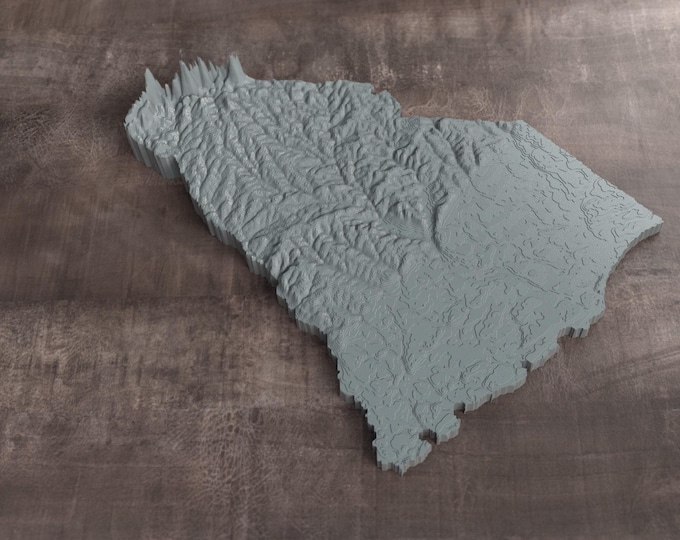 South Carolina | 3D Printed Topographic Relief Map | Tactile Terrain Model