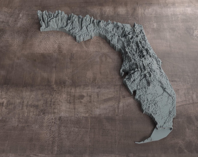 Florida | 3D Printed Topographic Relief Map | Tactile Terrain Model
