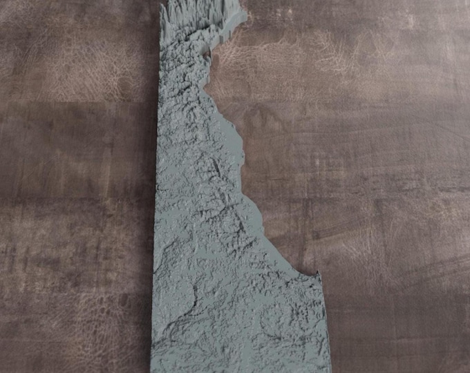 Delaware | 3D Printed Topographic Relief Map | Tactile Terrain Model