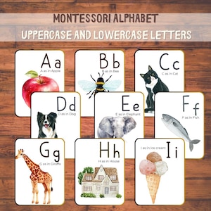 26 ABC Flash Cards, Educational Cards, A-Z Cards, Learn ABCs, Alphabet Flashcards, Kids Colors Alphabet, Montessori Cards, Digital Download