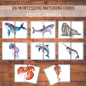 24 tarjetas Montessori de animales acuáticos para emparejar – Juego imprimible de animales del océano para niños – Actividad educativa digital sobre criaturas marinas para niños pequeños