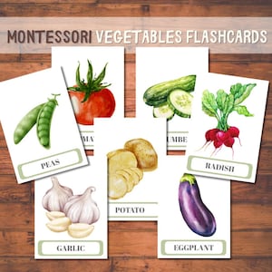 23 Cartes de Légumes Montessori, Cartes Flash Éducatives Imprimables, Téléchargement Instantané, PNG, Activité pour Tout-Petits