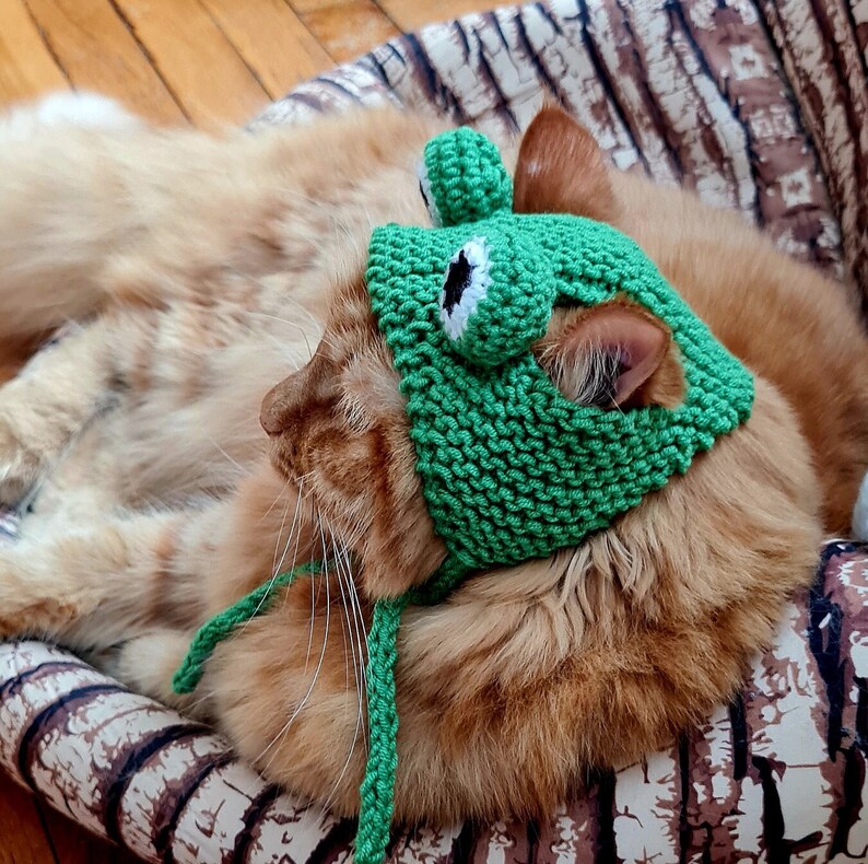 Hat for Cat Frog Hat for Cat Knitted Hat for Cat Etsy
