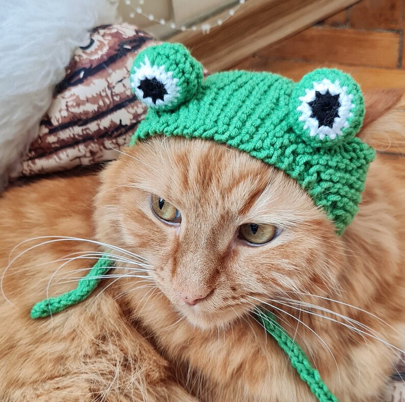 Hat for Cat Frog Hat for Cat Knitted Hat for Cat Etsy