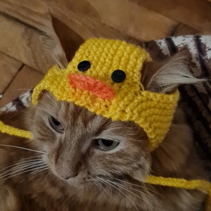 Duck Hat for Cat Etsy UK