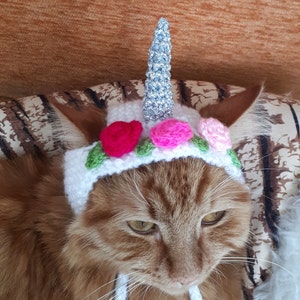 Hat for Cat, Unicorn hat for Cat
