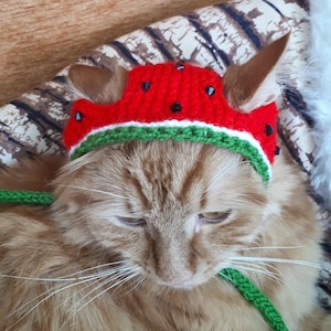 Hat for cat, Watermelon hat for cat, Knitted hat for cat