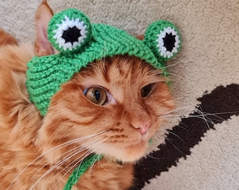 Hat for Cat, Frog Hat for Cat, Knitted hat for Cat