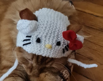 Bonnet pour chat, bonnet Kitty pour chat, bonnet tricoté pour chat