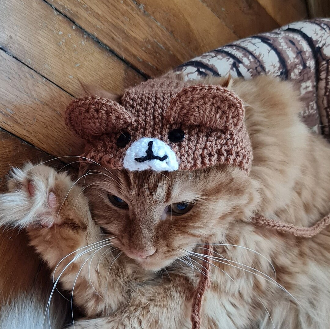 Hat for Cat Bear Hat for Cat Etsy