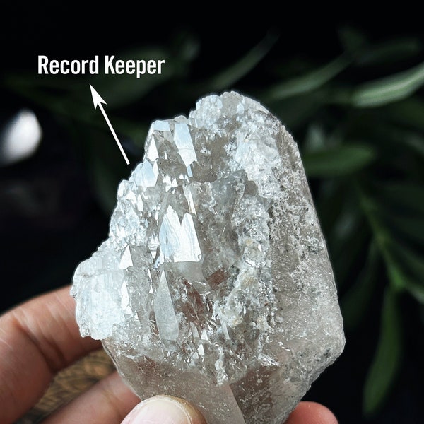 Rare Himalayan Quartz Generator Point with "Sugar Frost" Coating - Rainbow Crystal with Record Keeper Natural Healing Crystal, Clear Quartz