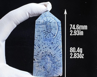 Natural Blue Coral Tower Obelisk | Fossilized Coral from Indonesia | Ocean Energy Stone | Calming Crystal Decor | Unique Collector Gift
