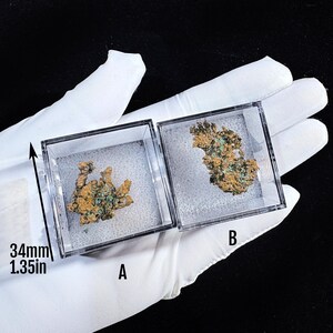 Puede incluir: Dos espec&iacute;menes minerales, etiquetados A y B, exhibidos en estuches cuadrados transparentes. La muestra A mide 34 mm de largo. Los minerales exhiben una mezcla de tonos dorados y verdes, con una apariencia texturizada y cristalina. Los estuches se sostienen en una mano enguantada.