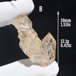 May include: A clear, light-brown crystal cluster. The crystal is 1.53 inches long and weighs 0.42 ounces. The letter "B" is visible in the upper left corner. The crystal is held by a white gloved hand against a black background.