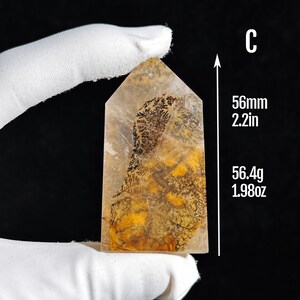 May include: A clear quartz crystal point with dendritic inclusions. The crystal is approximately 2.2 inches tall and weighs 1.98 ounces. The inclusions are brown and yellow in color and create a unique and beautiful pattern.