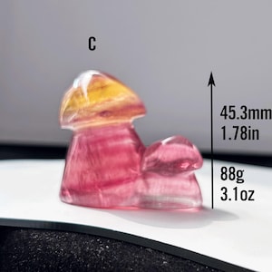 Candy Rainbow Fluorite Mushroom Carving - Natural Fluorite with Rainbow Stripes - Perfect Home Decor, Altar Piece, and Crystal Gift
