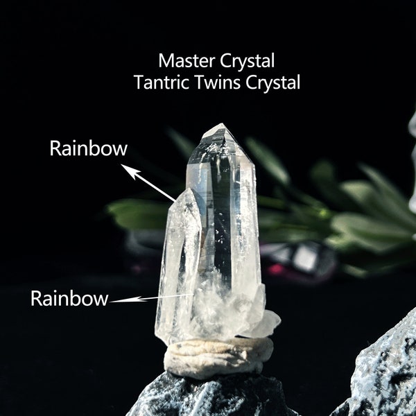 Rare Master Lemurian Seed Crystal - Tantric Twins Crystal+ Rainbow Crystal Composition for Meditation