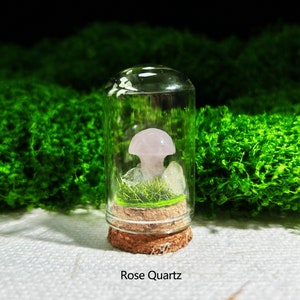 Crystal Mushrooms in Mini Garden Mineral Box - Choose Your Tiny Gemstone Mushroom
