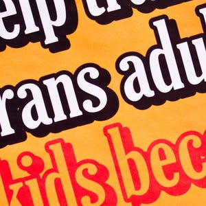 May include: Orange background with black and white text that reads "Help trans adults" and red text that reads "kids become"