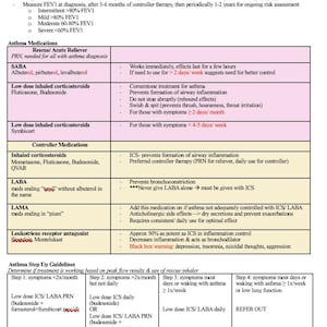 Guida allo studio per l'esame FNP Boards (2025) (AANP/ANCC) - Download immediato in formato PDF
