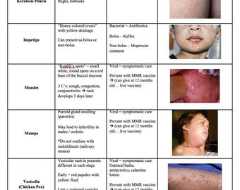 FNP Boards (2025) Exam Study Guide (AANP/ANCC) - Instant Download pdf