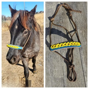 Custom Halter Sunflower Dream Braid Horse Halter/ Paracord Halter  /Clinician Halter / Soft Halter Custom Halter /Hand Tied Halter
