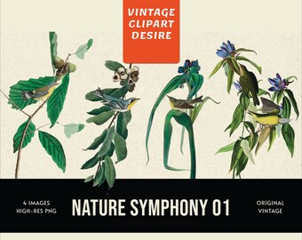 Nature Symphony Clipart Bundle | 300 DPI | PNG | Transparent Backgrounds | Digital Download | Vintage Clipart | Commercial Use